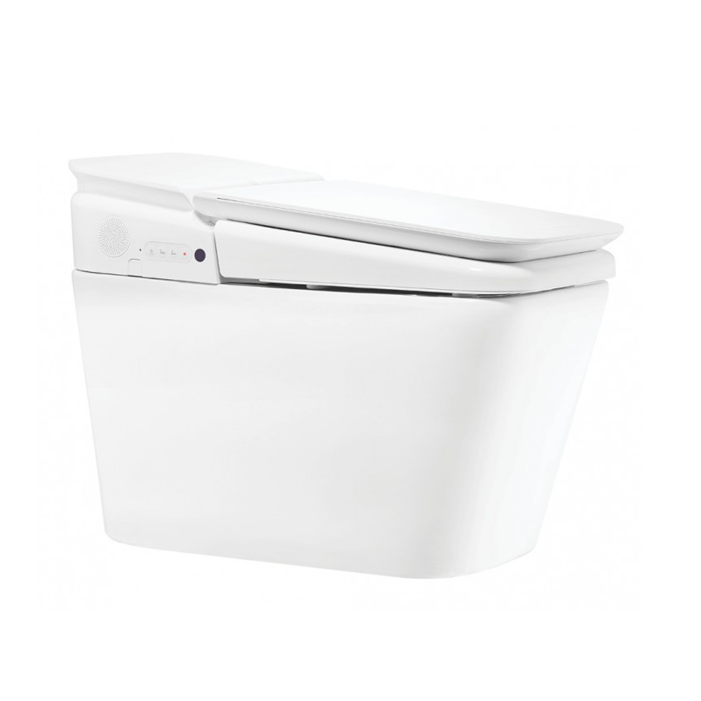 KP-8310 Bộ cầu điện tử PLAT
