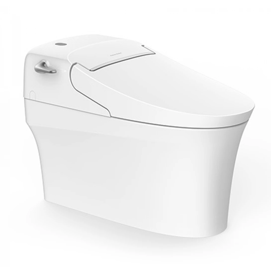 WP-5017 Bộ cầu điện tử New AeroZen