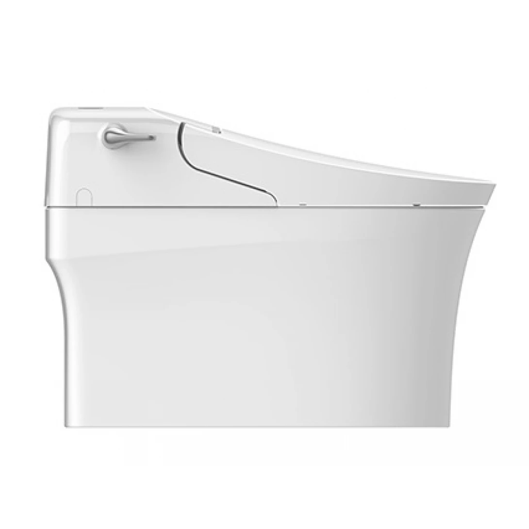 WP-5017 Bộ cầu điện tử New AeroZen